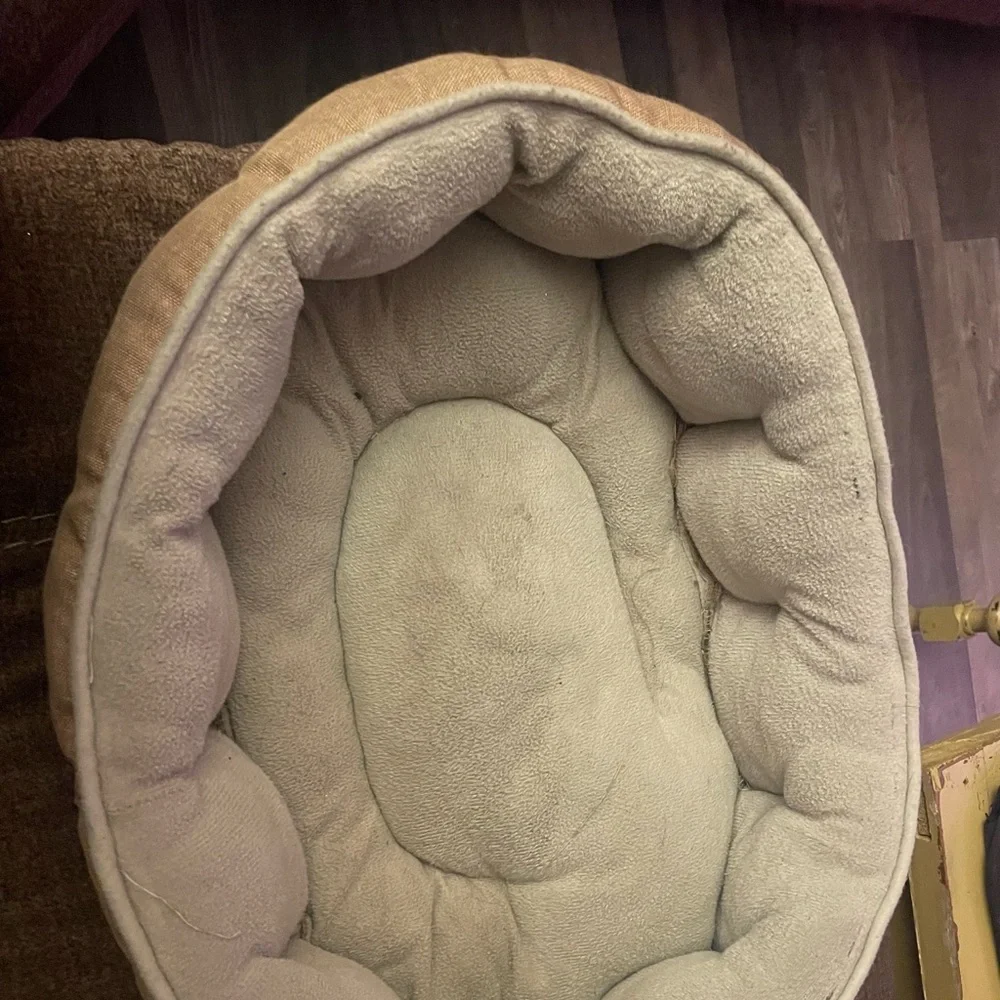 Small puppy bundle pack